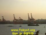 thm_jp_008950.jpg