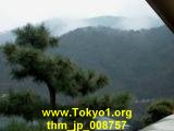 thm_jp_008757.jpg